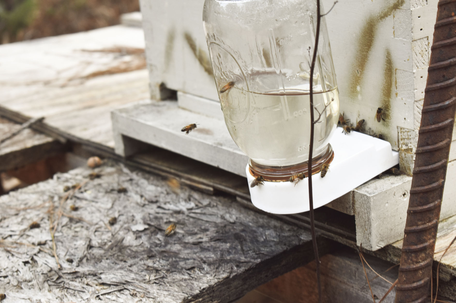 beekeeping2